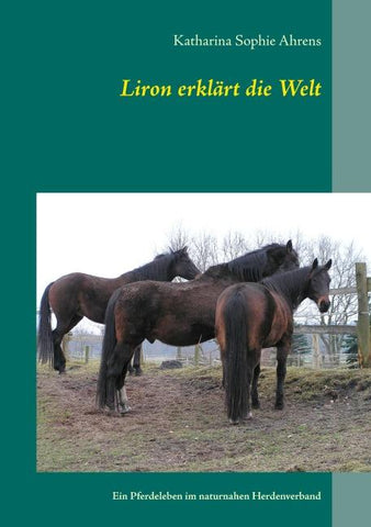 Liron erklärt die Welt