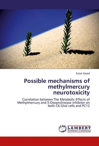 Possible mechanisms of methylmercury neurotoxicity