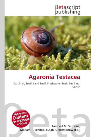 Agaronia Testacea