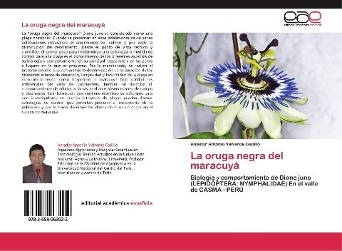 La oruga negra del maracuyá