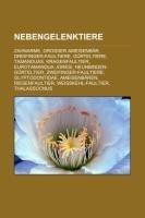 Nebengelenktiere