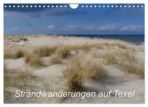 Strandwanderungen auf Texel (Wandkalender 2026 DIN A4 quer), CALVENDO Monatskalender