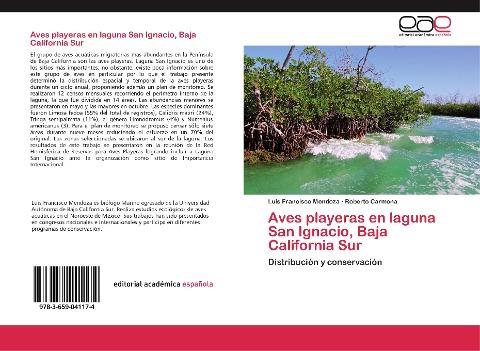 Aves playeras en laguna San Ignacio, Baja California Sur