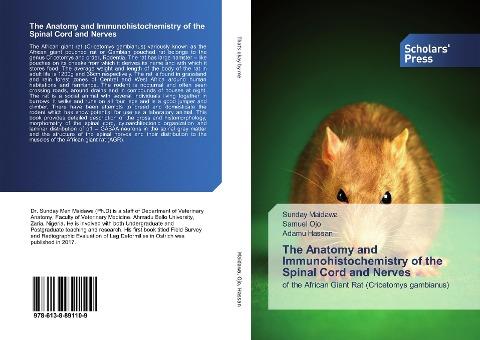 The Anatomy and Immunohistochemistry of the Spinal Cord and Nerves