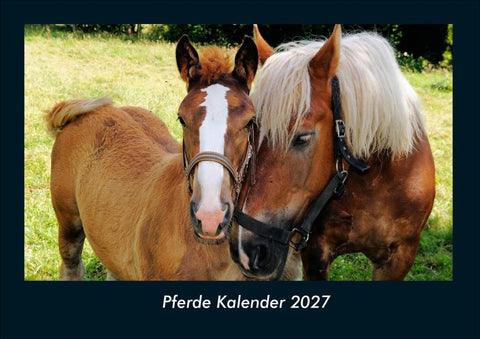Pferde Kalender 2027 Fotokalender DIN A4