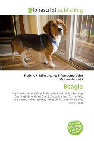 Beagle