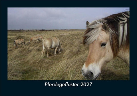 Pferdegeflüster 2027 Fotokalender DIN A5
