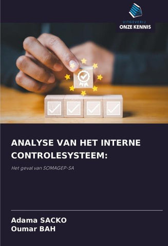 ANALYSE VAN HET INTERNE CONTROLESYSTEEM: