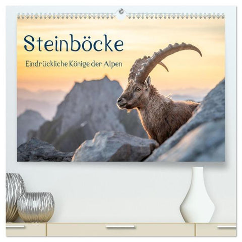 Steinböcke - Eindrückliche Könige der Alpen (hochwertiger Premium Wandkalender 2026 DIN A2 quer), Kunstdruck in Hochglanz