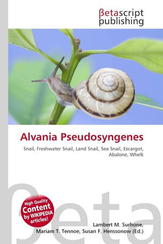Alvania Pseudosyngenes