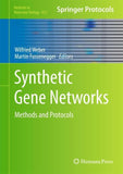 Synthetic Gene Networks