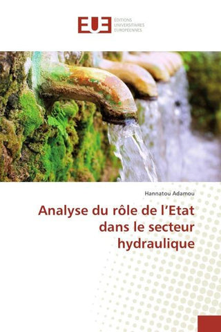 Analyse du rôle de l'Etat dans le secteur hydraulique