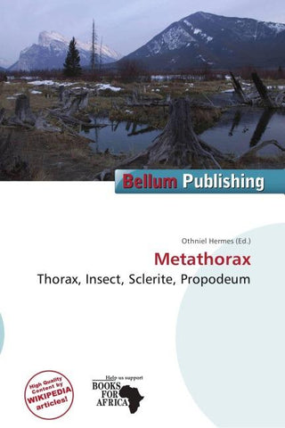 Metathorax