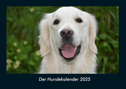 Der Hundekalender 2025 Fotokalender DIN A4