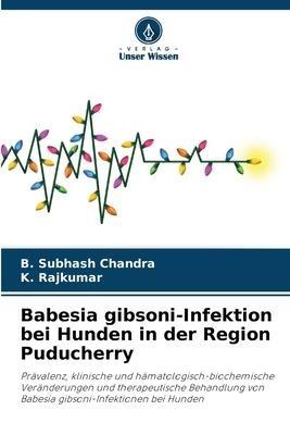 Babesia gibsoni-Infektion bei Hunden in der Region Puducherry