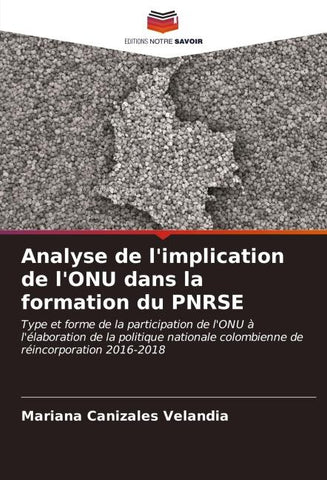 Analyse de l'implication de l'ONU dans la formation du PNRSE