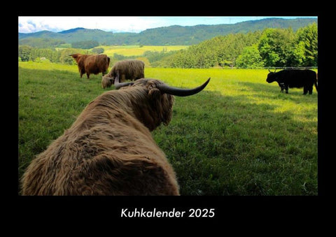 Kuhkalender 2025 Fotokalender DIN A3
