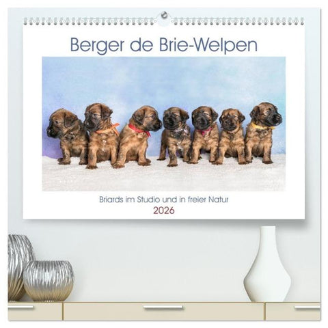 Berger de Brie - Welpen (hochwertiger Premium Wandkalender 2026 DIN A2 quer), Kunstdruck in Hochglanz