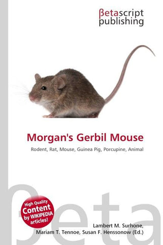 Morgan's Gerbil Mouse