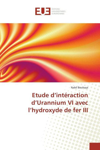 Etude d'intéraction d'Urannium VI avec l'hydroxyde de fer III