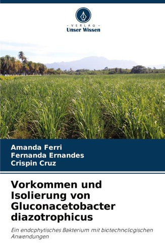 Vorkommen und Isolierung von Gluconacetobacter diazotrophicus