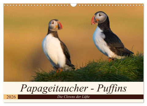 Papageitaucher - Puffins (Wandkalender 2026 DIN A3 quer), CALVENDO Monatskalender