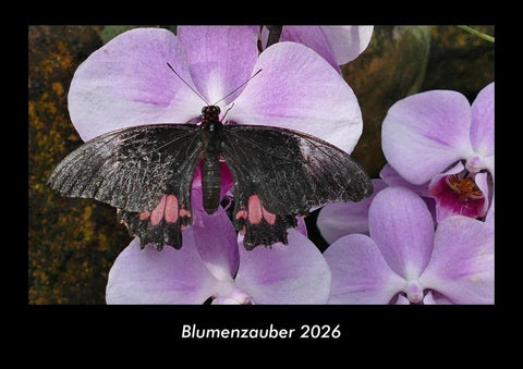 Blumenzauber 2026 Fotokalender DIN A3