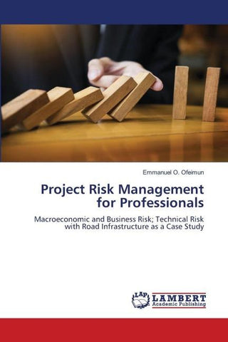 Project Risk Management for Professionals