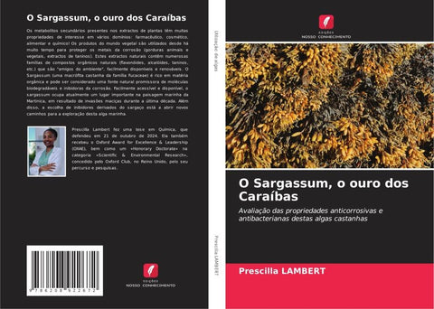O Sargassum, o ouro dos Caraíbas