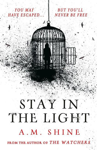 Stay in the Light