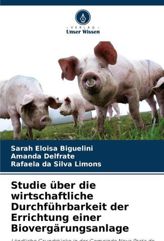 Studie über die wirtschaftliche Durchführbarkeit der Errichtung einer Biovergärungsanlage