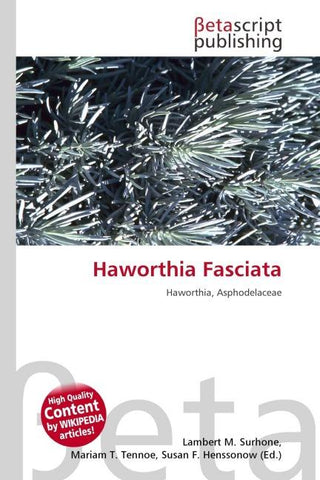 Haworthia Fasciata