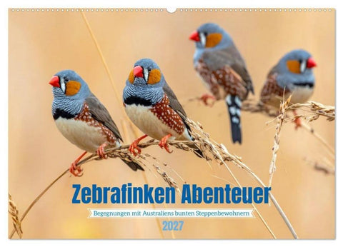 Zebrafinken Abenteuer (Wandkalender 2027 DIN A2 quer), CALVENDO Monatskalender
