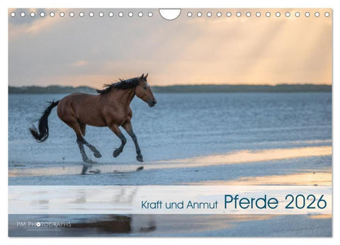 Pferde 2026 Kraft und Anmut (Wandkalender 2026 DIN A4 quer), CALVENDO Monatskalender
