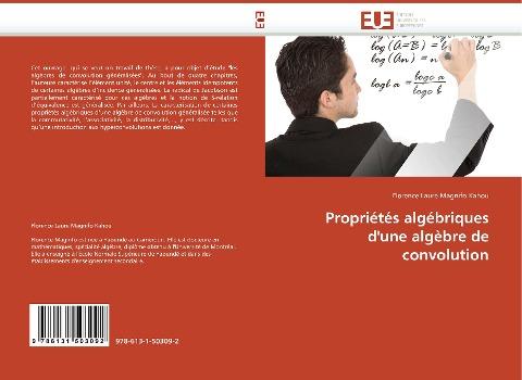 Propriétés algébriques d'une algèbre de convolution