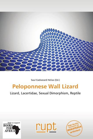Peloponnese Wall Lizard