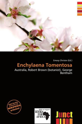 Enchylaena Tomentosa