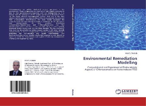 Environmental Remediation Modelling