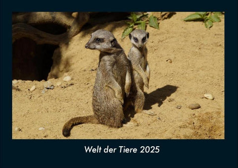 Welt der Tiere 2025 Fotokalender DIN A4