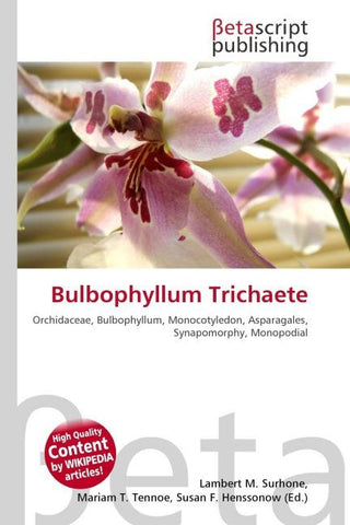 Bulbophyllum Trichaete
