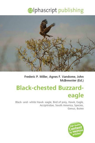 Black-chested Buzzard-eagle