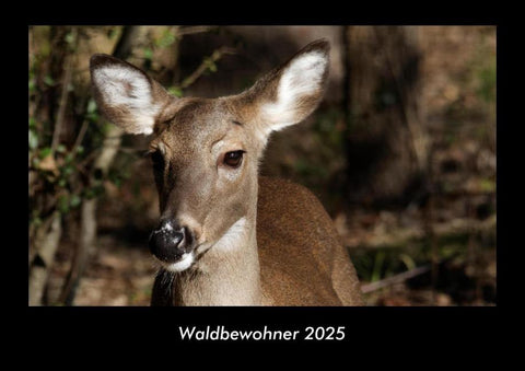 Waldbewohner 2025 Fotokalender DIN A3