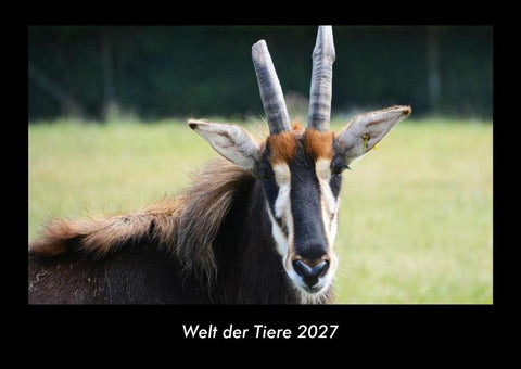 Welt der Tiere 2027 Fotokalender DIN A3