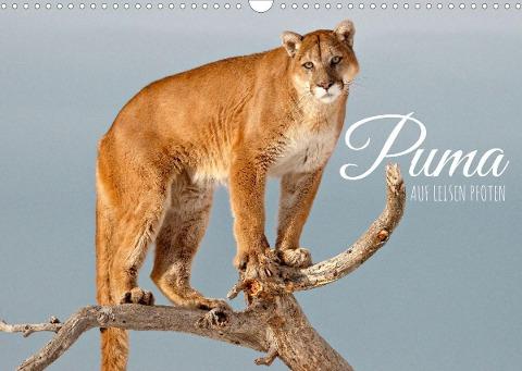 Puma: Auf leisen Pfoten (Wandkalender 2023 DIN A3 quer)