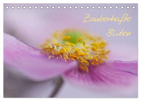 Zauberhafte Blüten (Tischkalender 2026 DIN A5 quer), CALVENDO Monatskalender