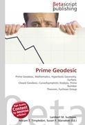 Prime Geodesic