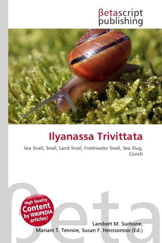 Ilyanassa Trivittata
