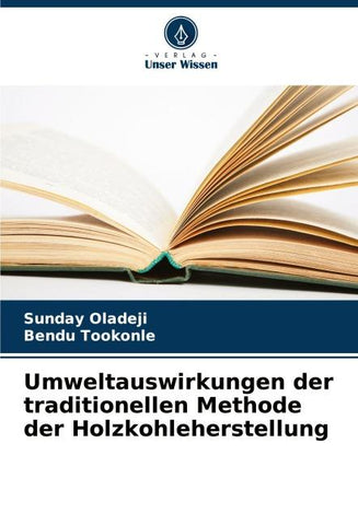 Umweltauswirkungen der traditionellen Methode der Holzkohleherstellung