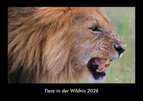 Tiere in der Wildnis 2026 Fotokalender DIN A3