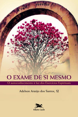 O exame de si mesmo